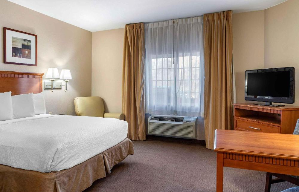 Studio Queen Room - Non-Smoking interior
